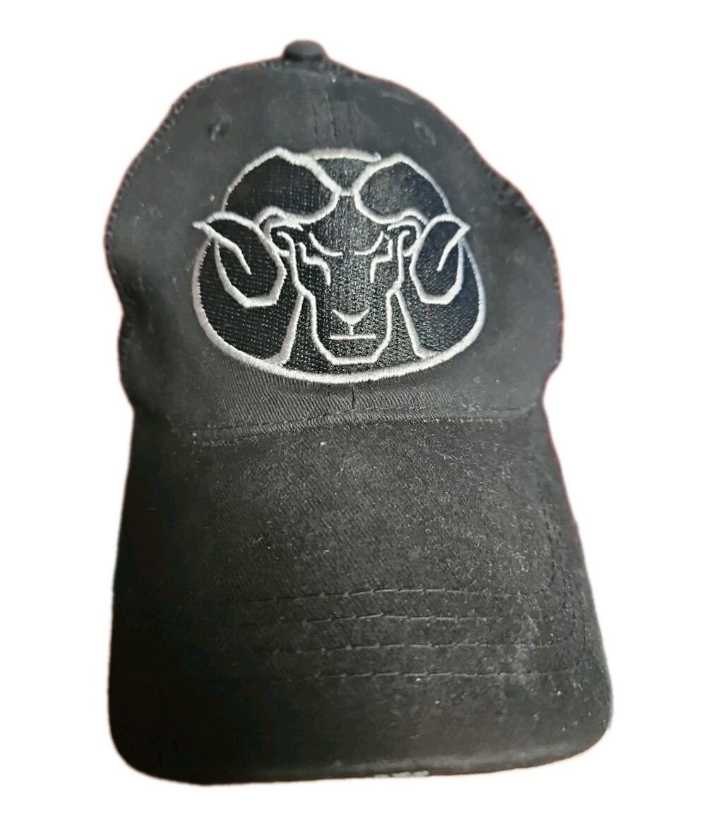Ram Board Trucker Hat Baseball Cap Vintage SnapBack Mesh Black Ram
